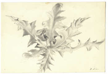 Visualizza l'immagine "FD D 2758"